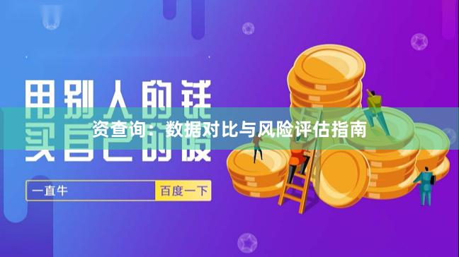 资查询:数据对比与风险评估指南