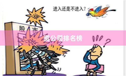 资公司排名榜
