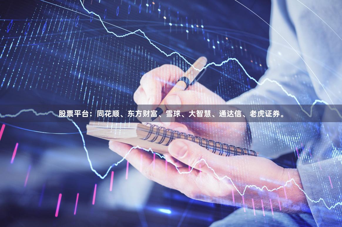 股票平台：同花顺、东方财富、雪球、大智慧、通达信、老虎证券。